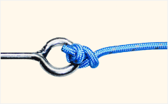 Davy knot