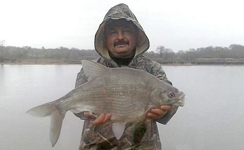 Мой самый большой лещ