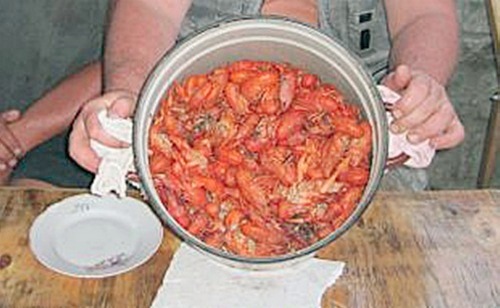 Под пивко