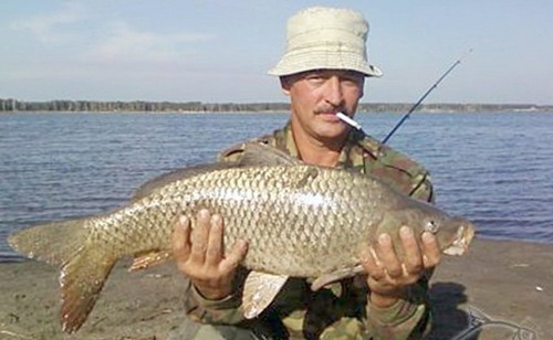 Красавец