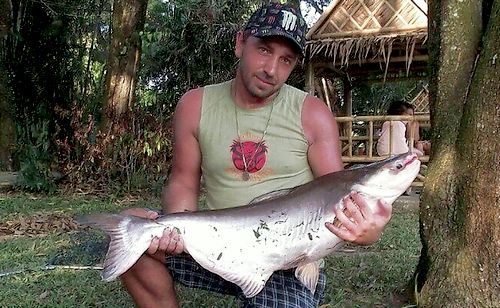 Catfish на Пхукете