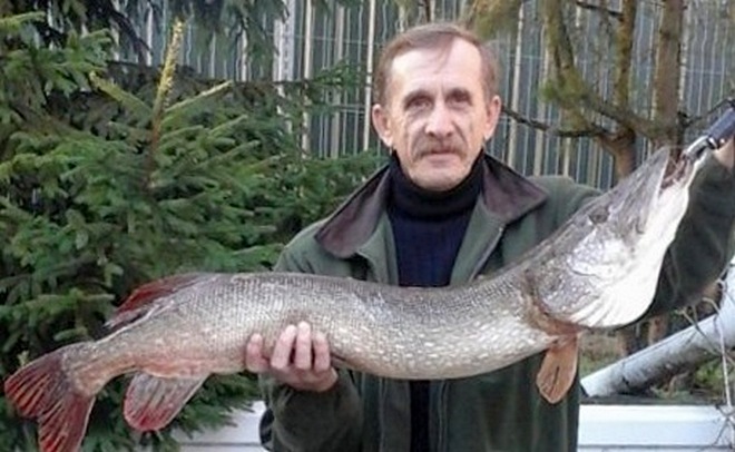 Моя самая крупная щука в моей рыболовной практике