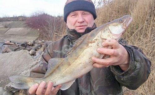 Судак
