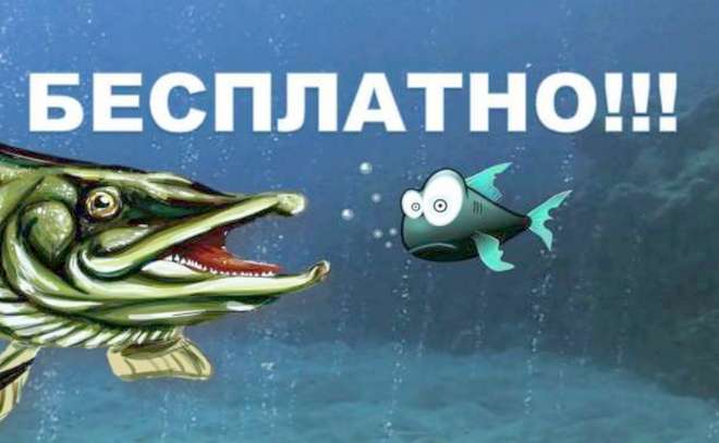 Акция Живец для рыбалки Бесплатно!