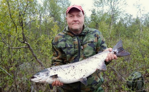 Семга 9,7