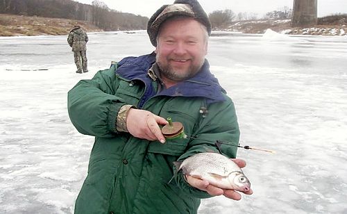 Зимняя белоглазка