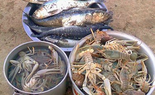 Каспийский залом и раки