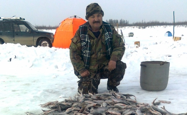 Сорога