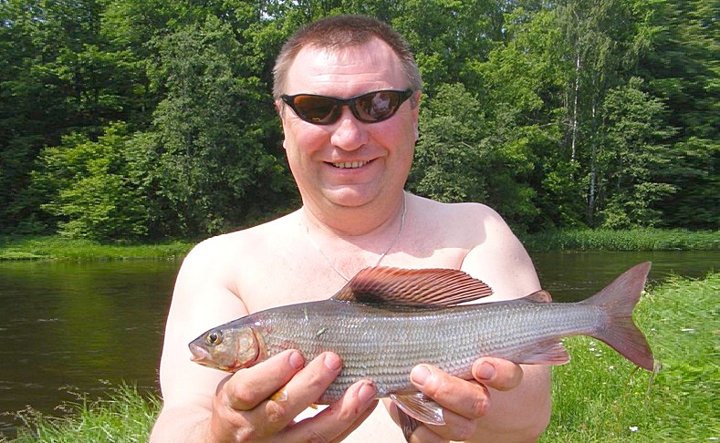 Хариус