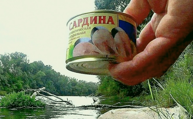 Реакция рыбы на консервы! Подводная съёмка.