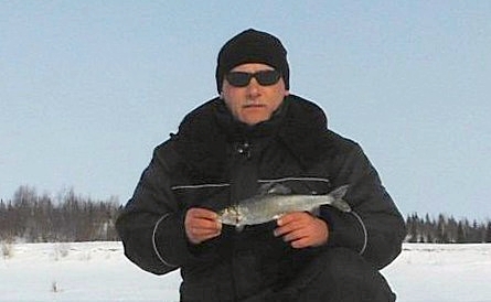 Хариус
