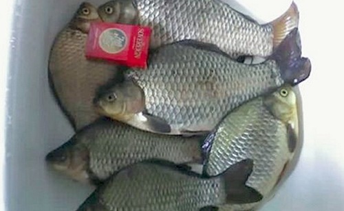 Карасики