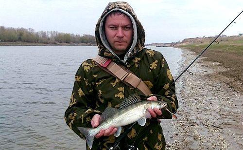 Судачок