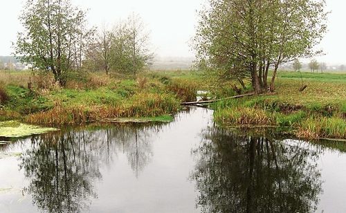 Рыбалка на реке Усманке, Воронежская область