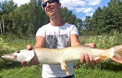 Что сейчас с клевом щуки на платной рыбалке?
