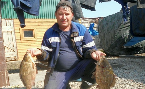 Окуни, карпята