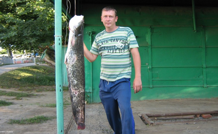Сомик