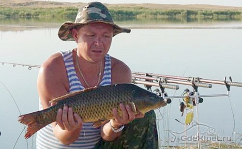 Сазан
