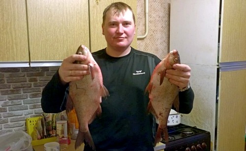 Лещи 2015