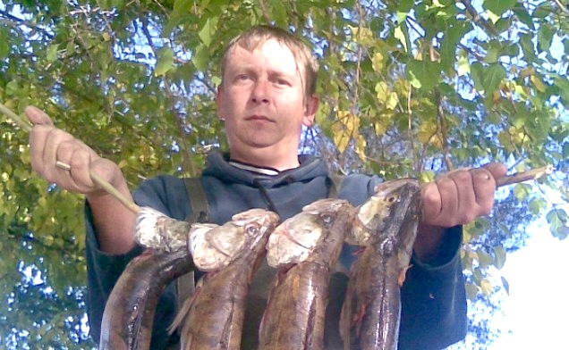 Клыкастые