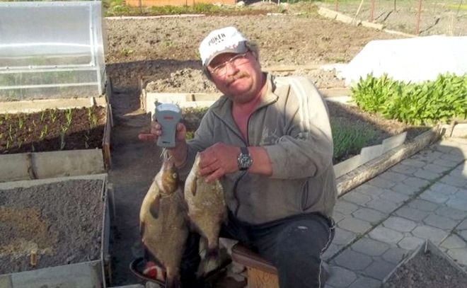 Оредеж