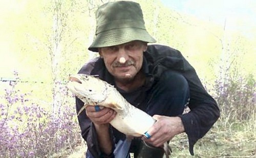Таймень