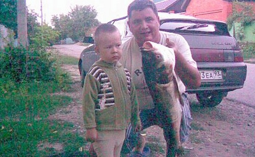 Толстолобик