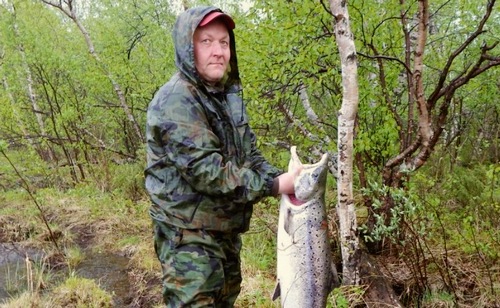 Семга 10кг