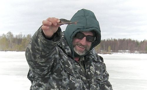 Окунь