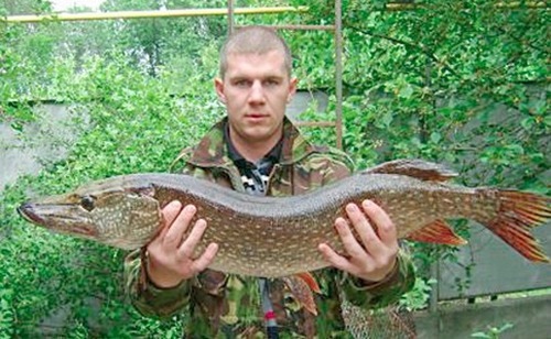 Щучка