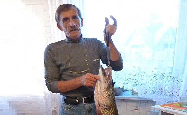 Щука