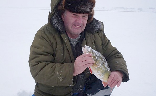 Окунь