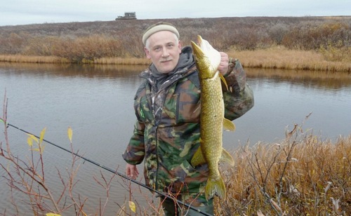 Осенняя щука