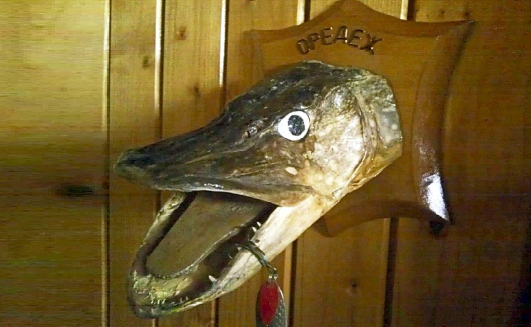 Моя самая большая щука