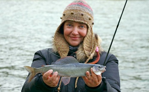 Хариус