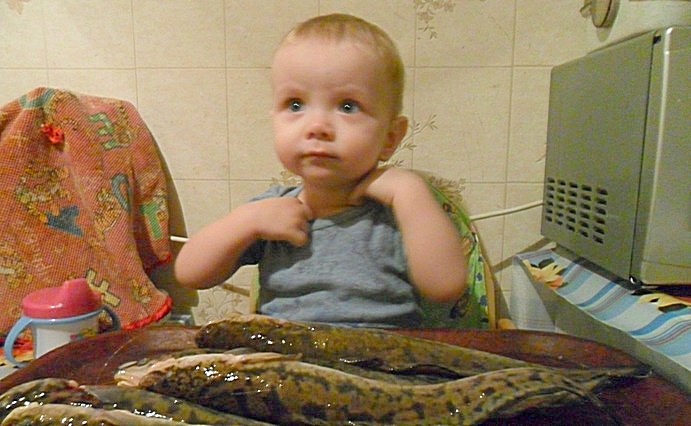 Мои налимчики и мой рыбачок