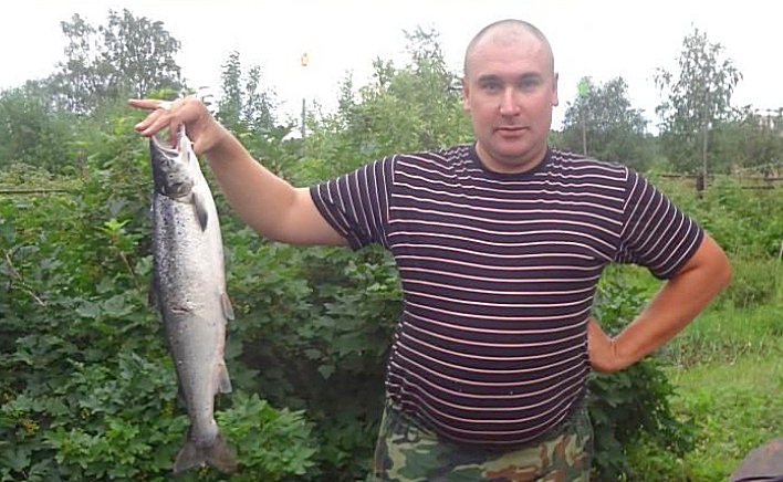 Маленькая семга
