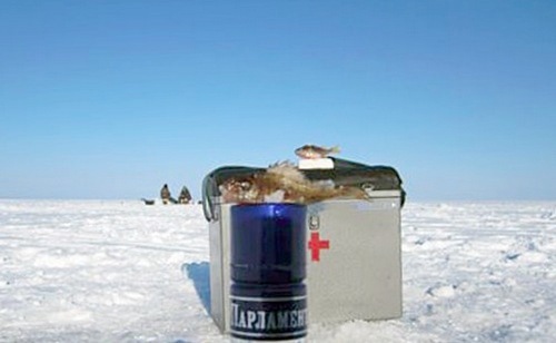 колючкин
