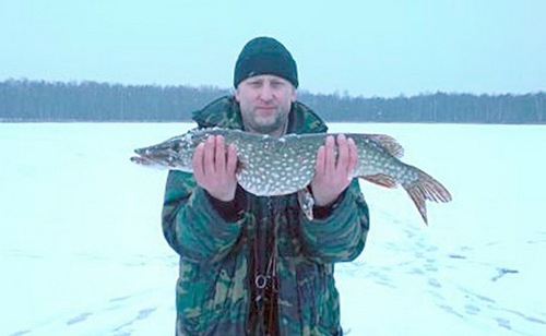 Самая крупная щука