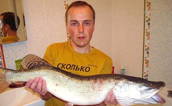 Щука.закрытие сезона 2013