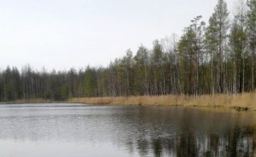 Прошедшее открытие прошедшего сезона