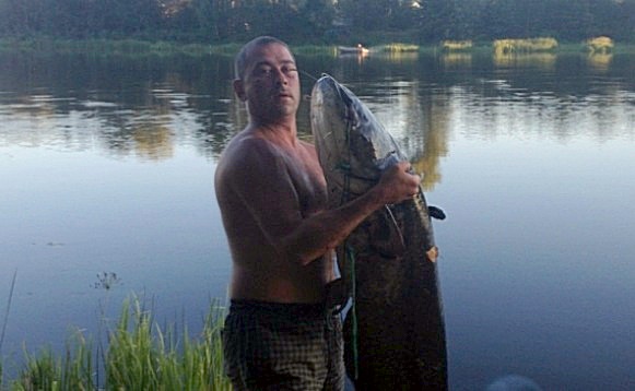 Сом 31кг 800гр