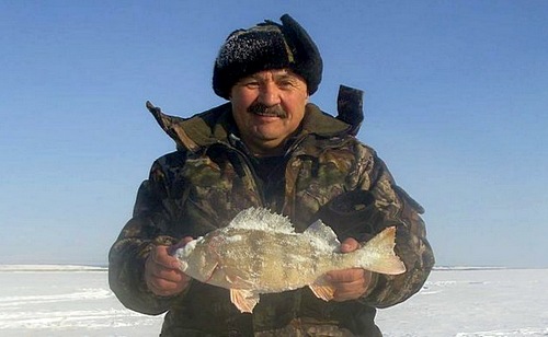 Окунь.950г.