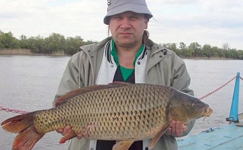 Сазан