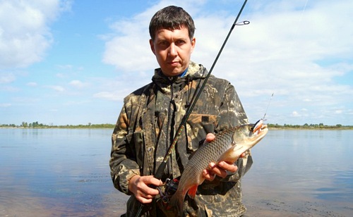 Волжский голавль