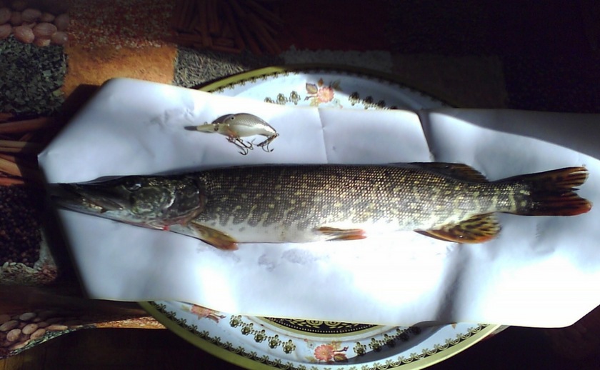 Уфимка