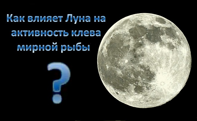 Влияние фаз Луны на клев рыбы