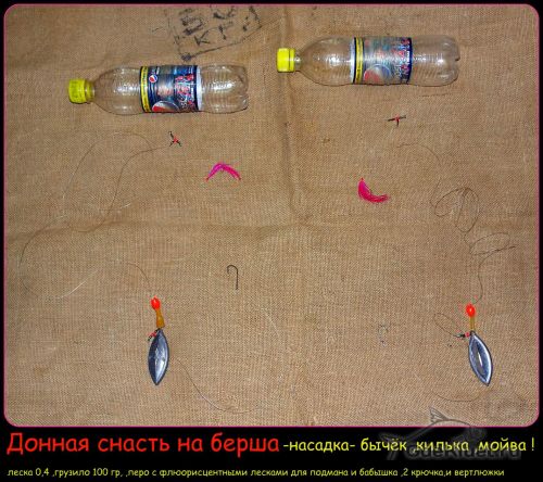 баклариха на берша