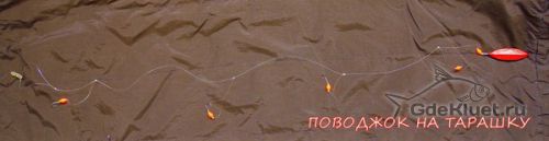 поводок на тароашку