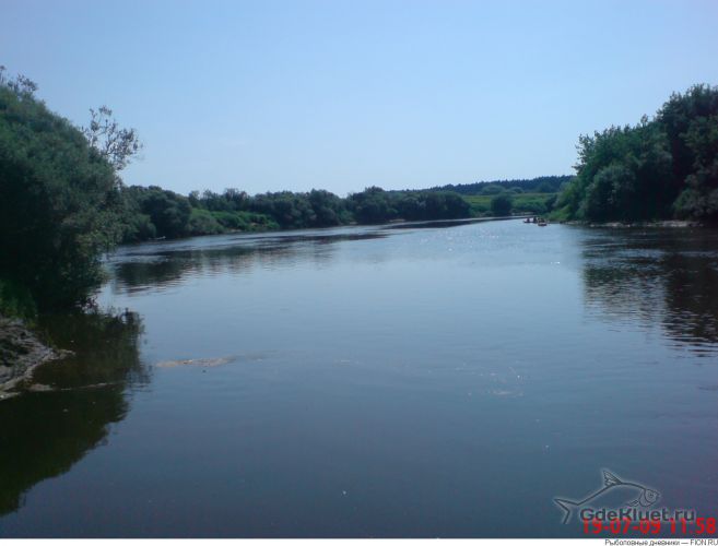 Рыбалка на Днепре